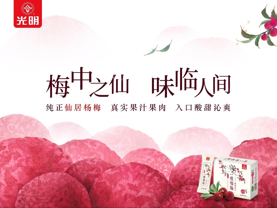 E:年度策略公司\2020-2021利记sbobet - 利记sbobet主品牌方案作业\新品KV一枝杨梅\杨梅横版KV.jpg